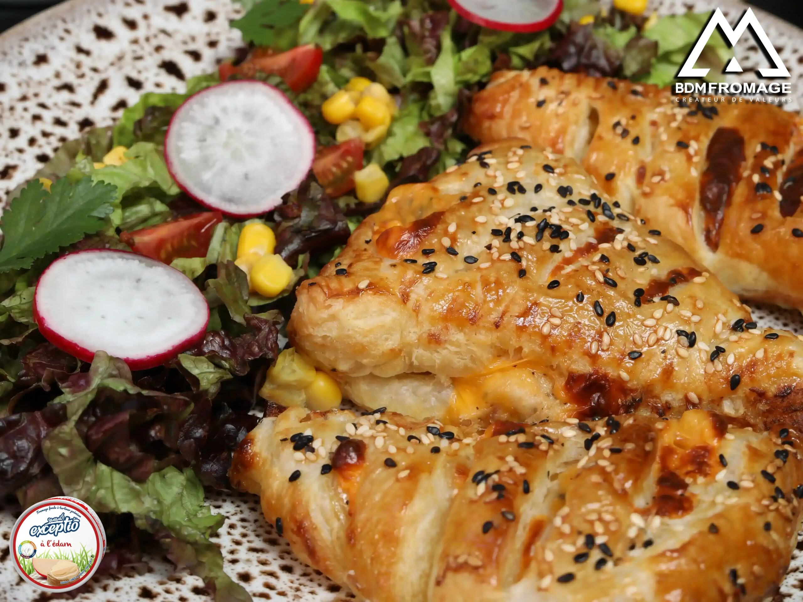 Feuilletés au thon et au fromage